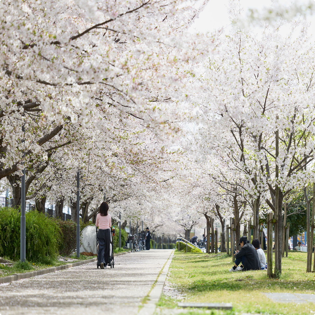 明和池公園（徒歩12分/約950m）