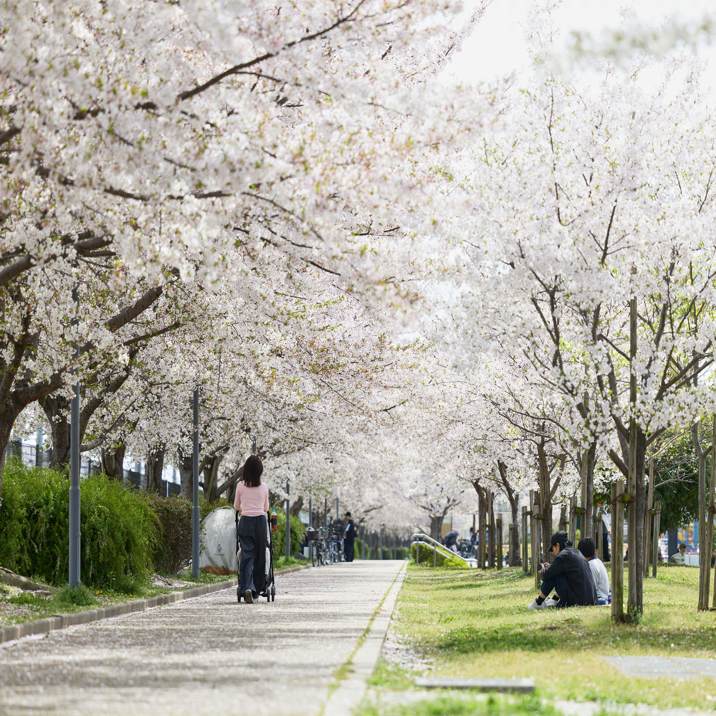 明和池公園（徒歩12分/約950m）