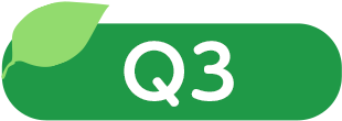 Q3