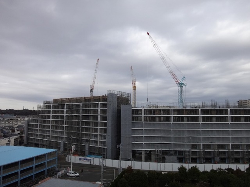 tujidou1