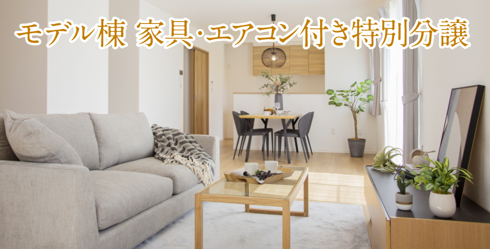 特別分譲