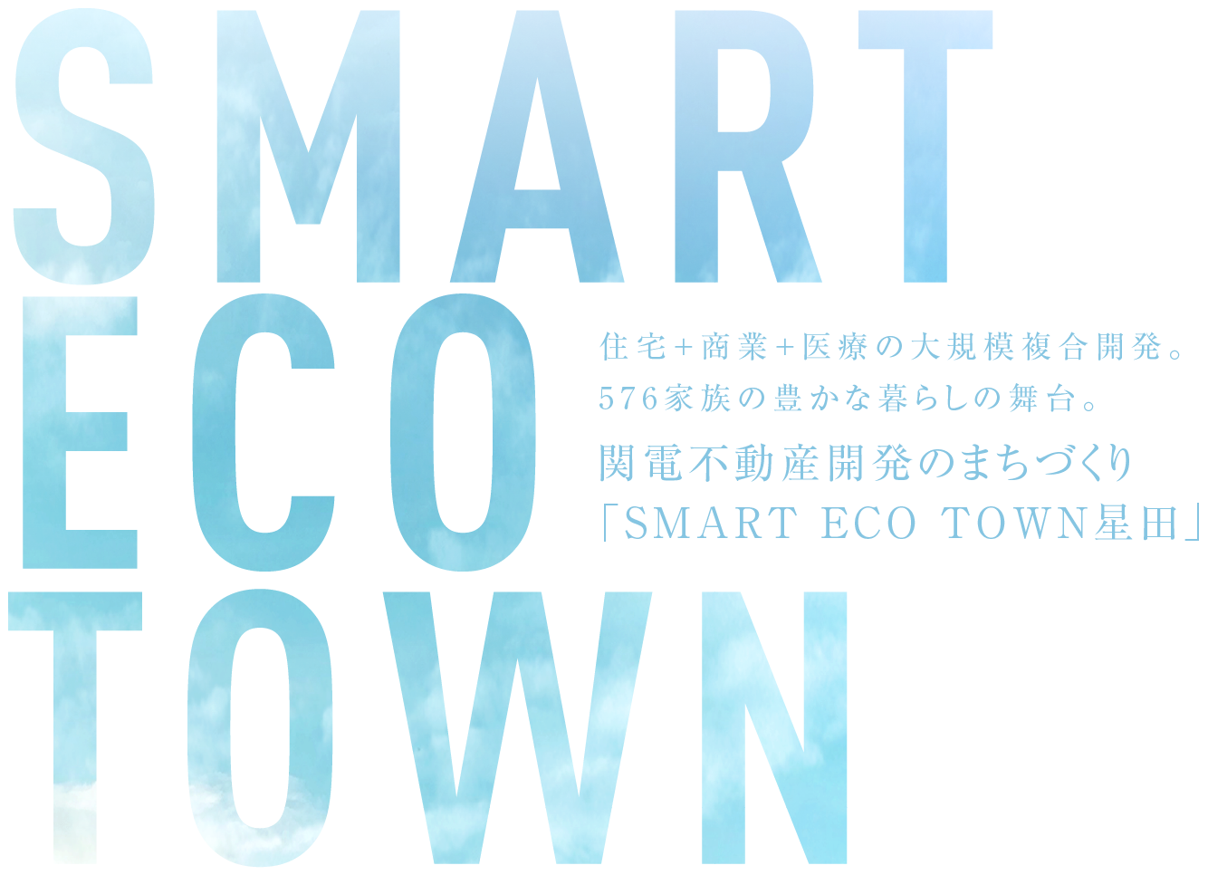 SMART ECO TOWN