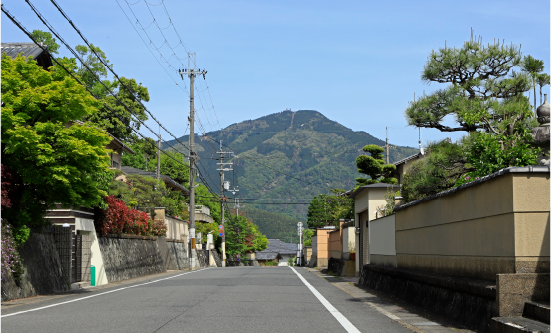 現地付近の街並み