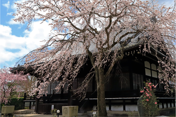 妙満寺