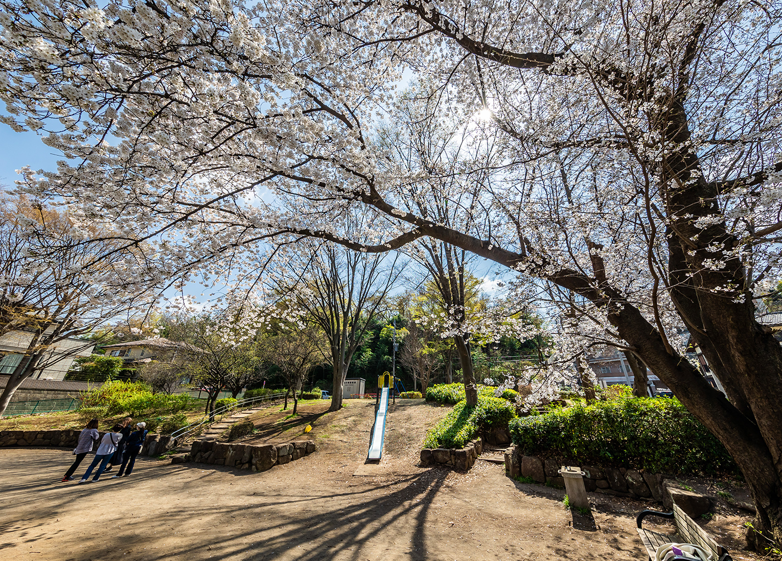 「向根公園」（徒歩1分・約30m）