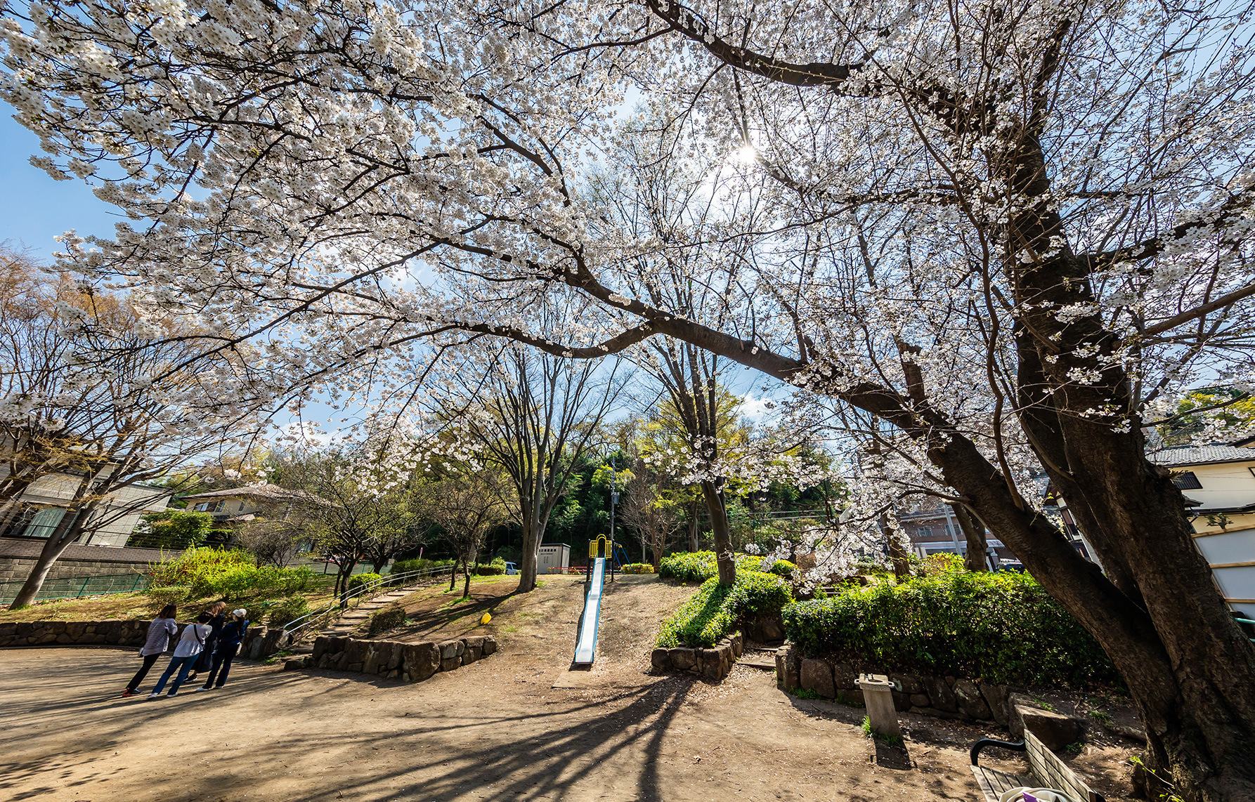「向根公園」（徒歩1分・約30m）