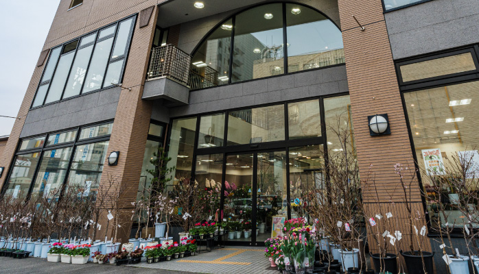 名古屋園芸 店頭