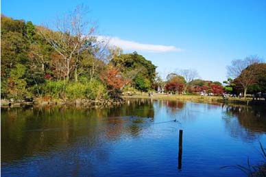 こども自然公園