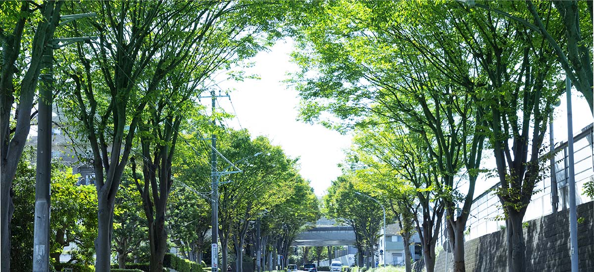 並木道（徒歩24分/約1850m）