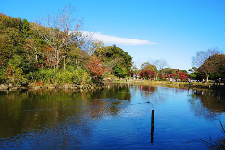 子ども自然公園