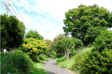 品濃中央公園