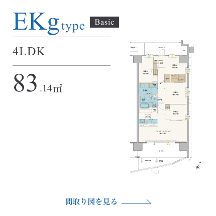 EKgtype
