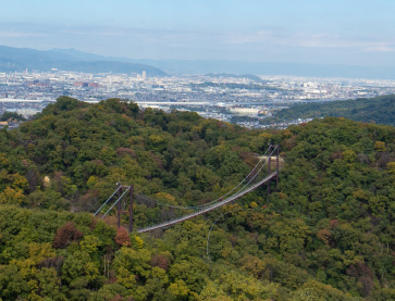 大阪府民の森