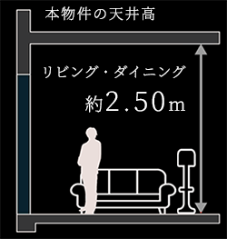 本物件の天井高