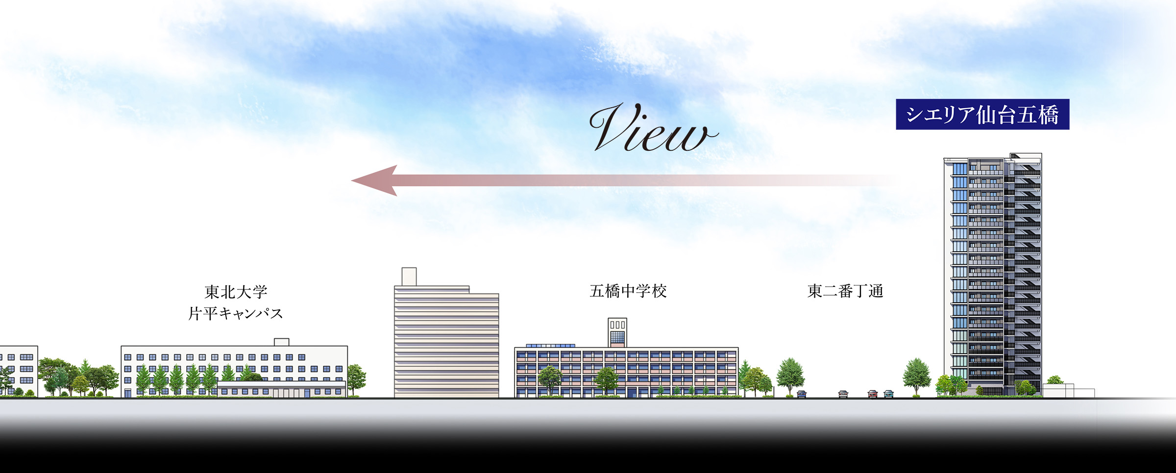 image photo