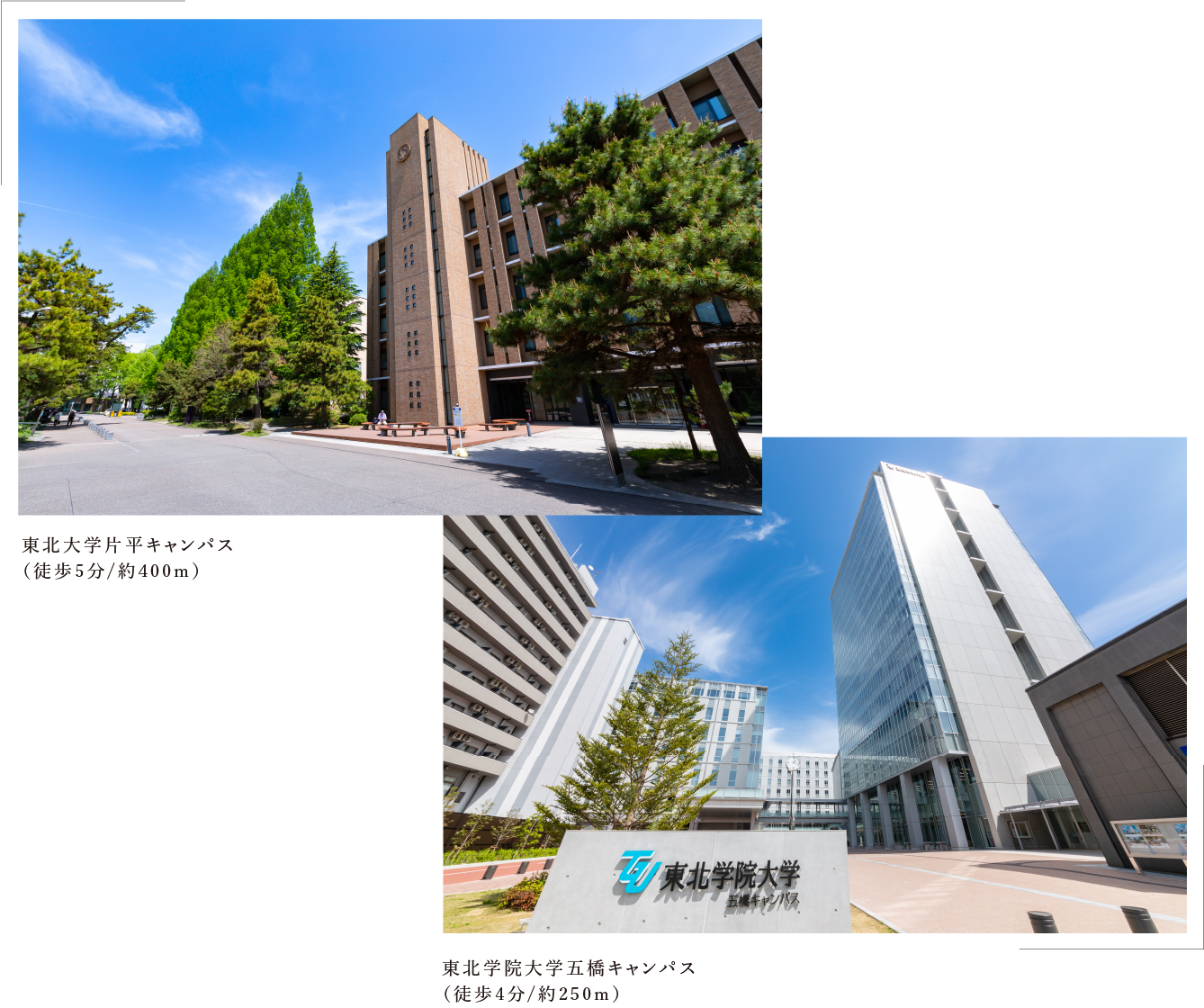 東北大学片平キャンパス 東北学院大学五橋キャンパス