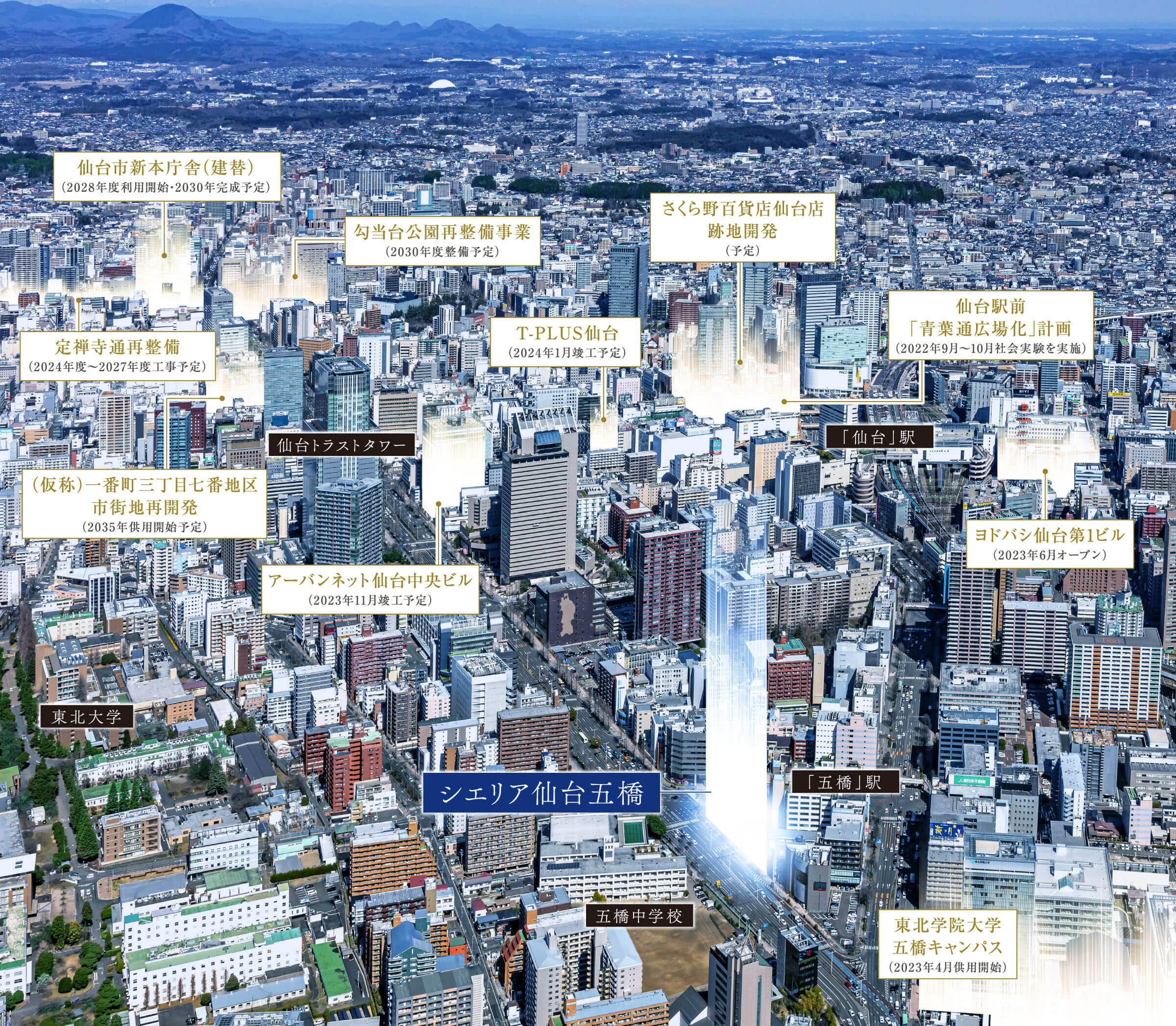航空写真