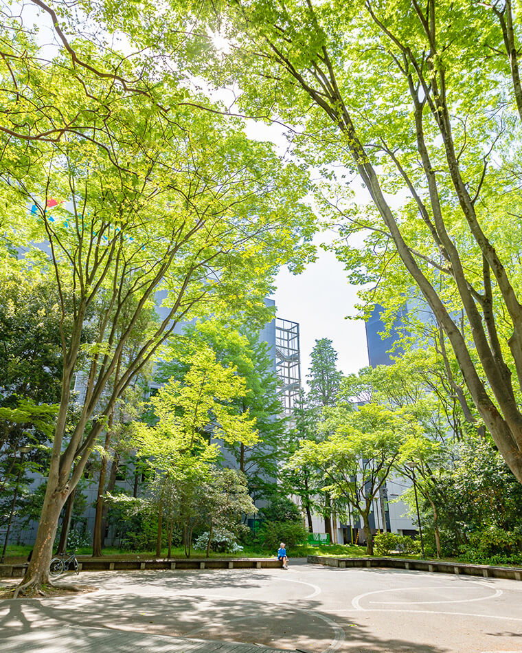 五橋公園（徒歩4分／約290m）