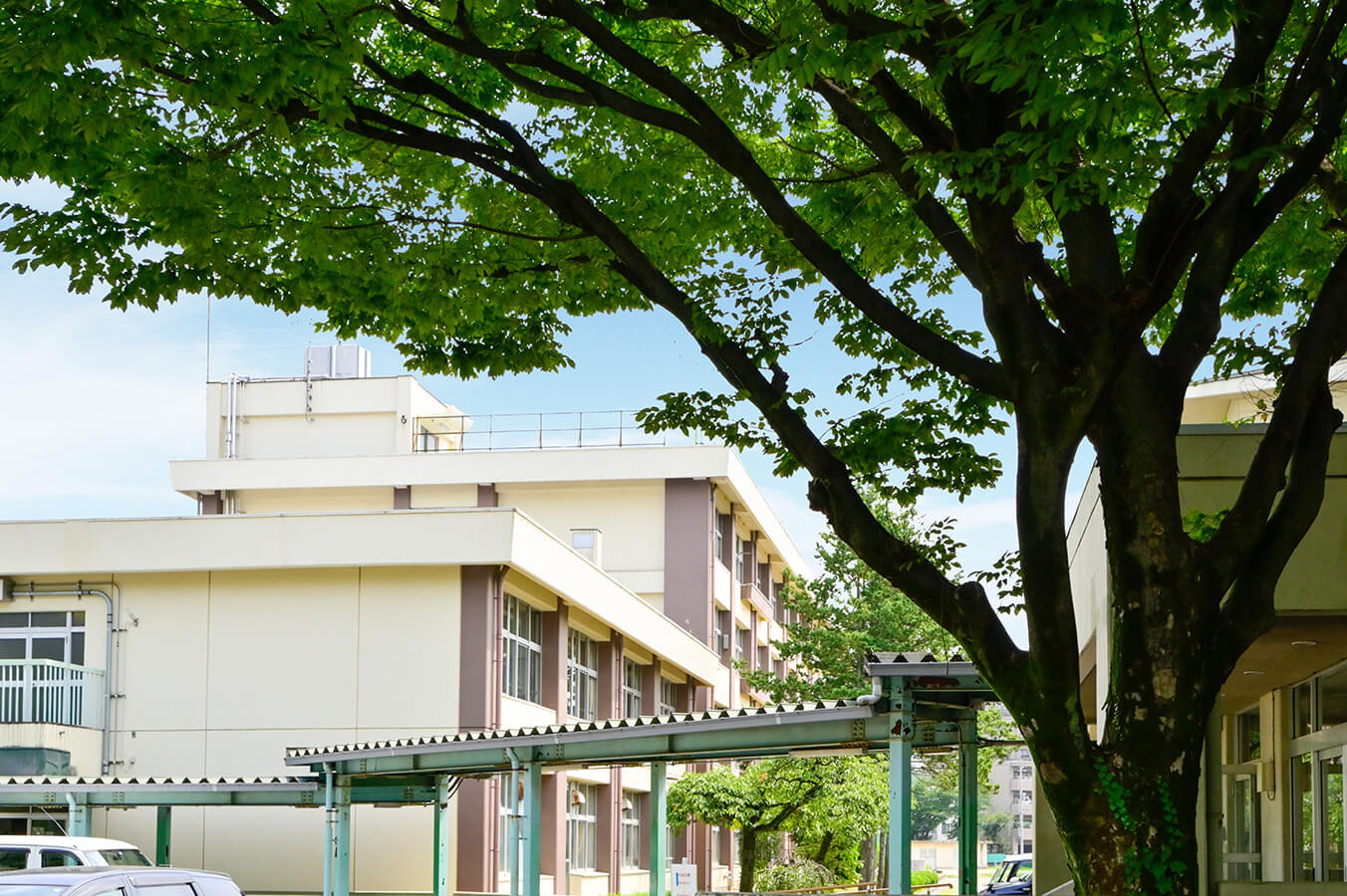 仙台市立上杉山中学校（徒歩18分／約1,440m）)