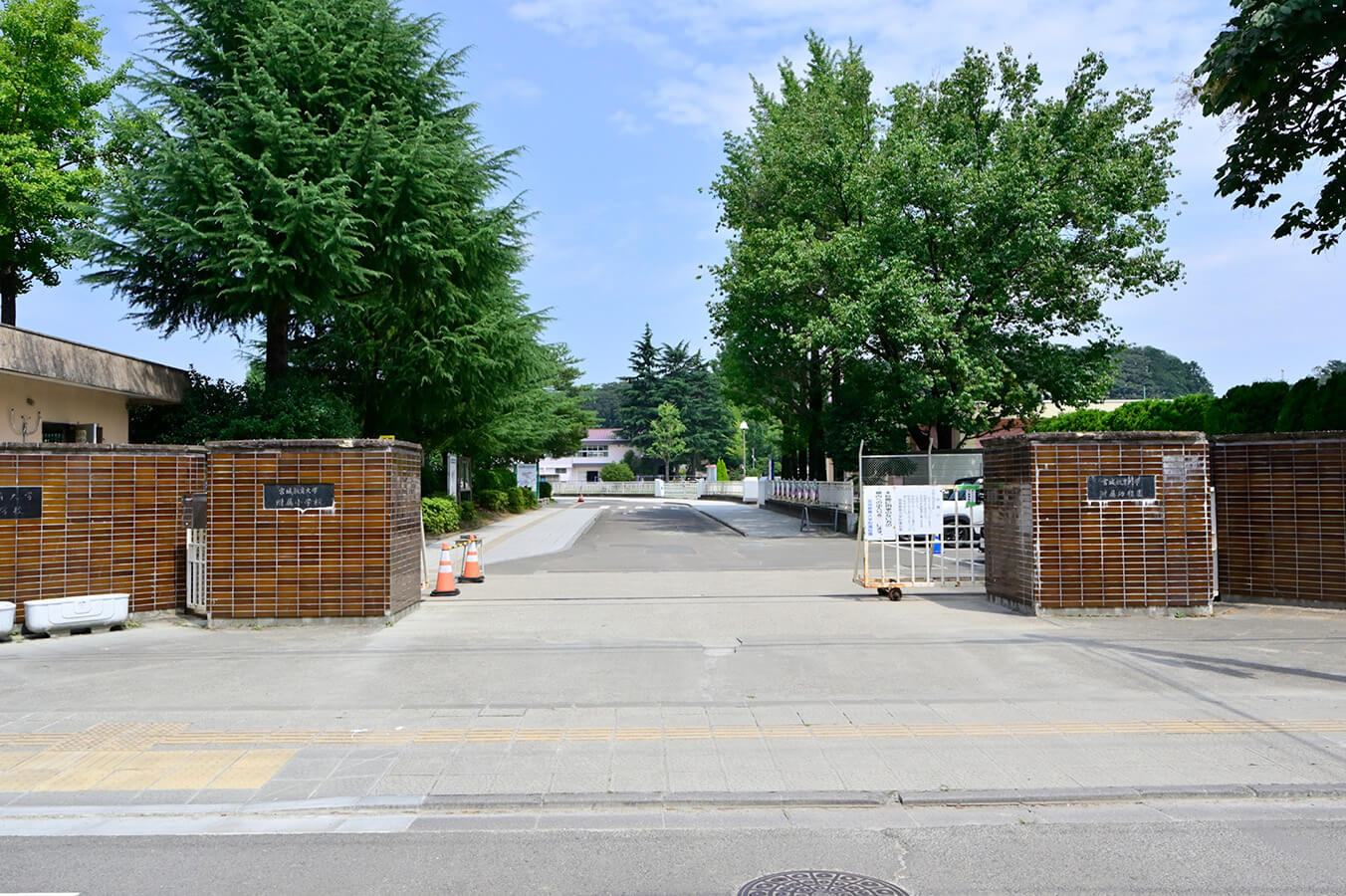 宮城教育大学附属幼稚園・小学校・中学校（徒歩19分／約1,500m）