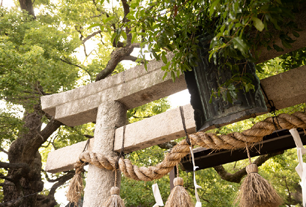 三島神社(徒歩9分/約650m)