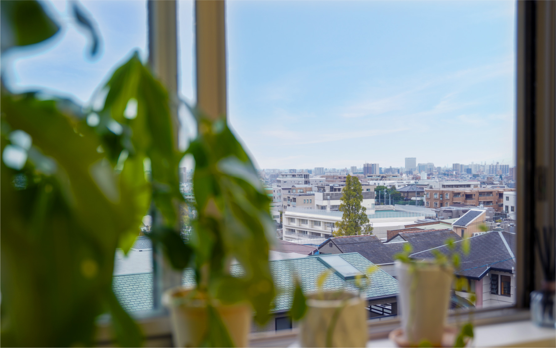 覚王山の美しい景色が日常
