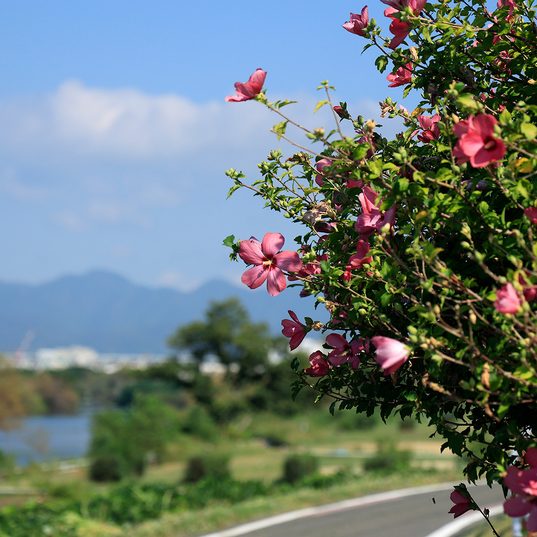 久世橋東詰公園(徒歩13分/約1,030m)