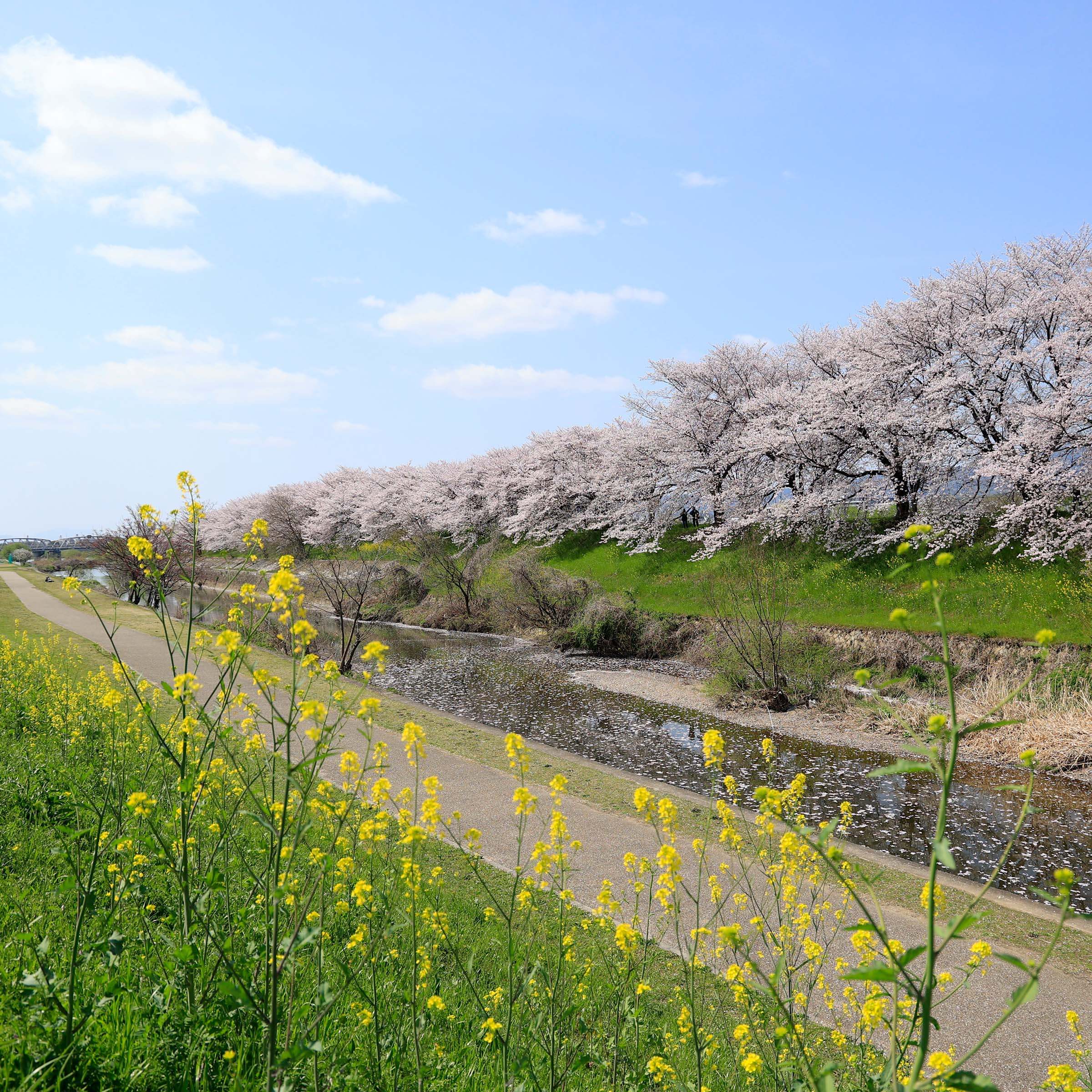 image photo