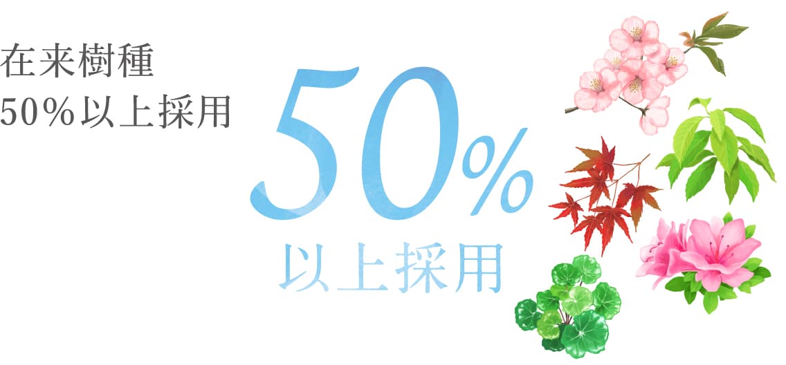 在来樹種50％以上採用