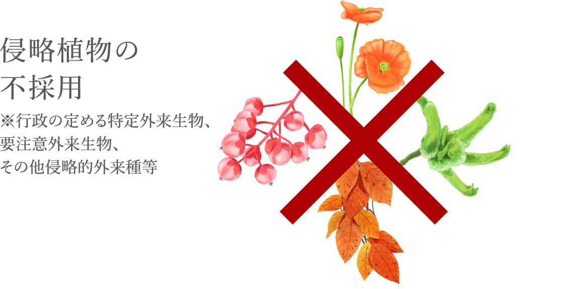 侵略植物の不採⽤