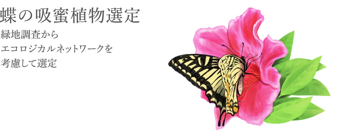 蝶の吸蜜植物選定
