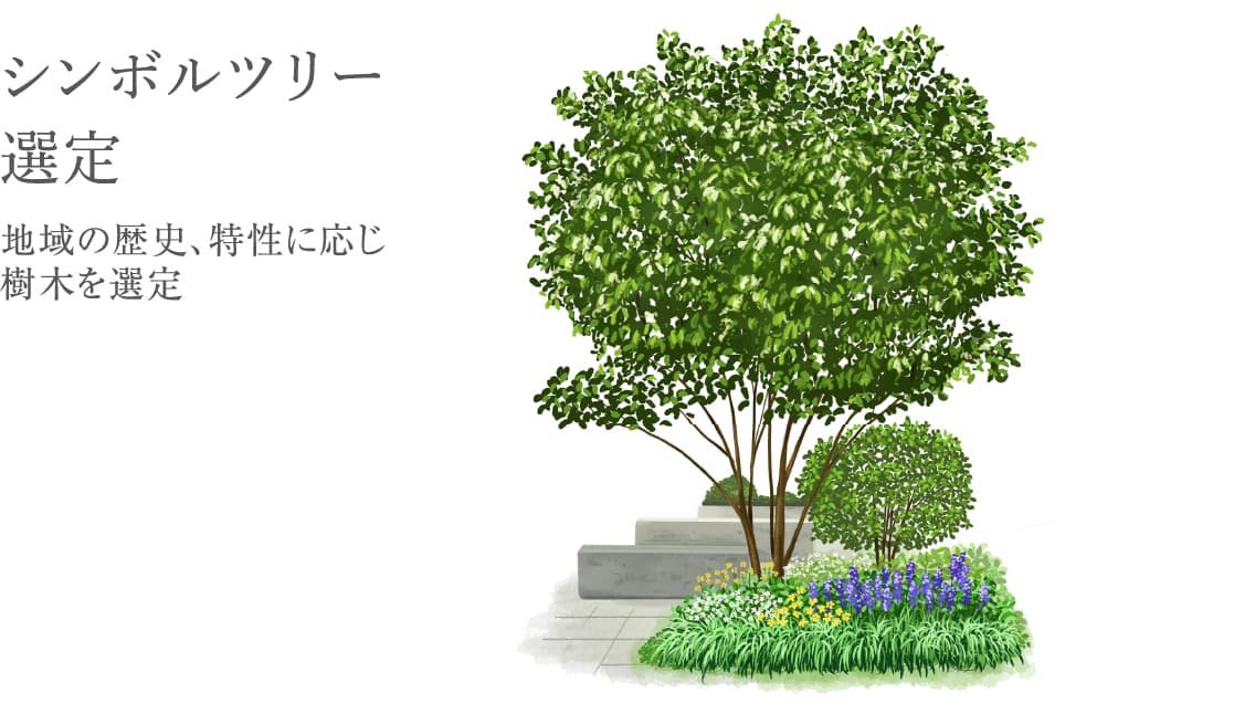 シエリア独自の樹⽊札の設置
