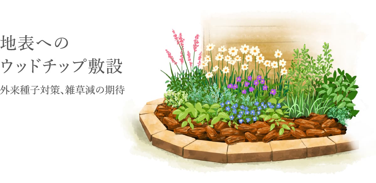 地表へのウッドチップ敷設