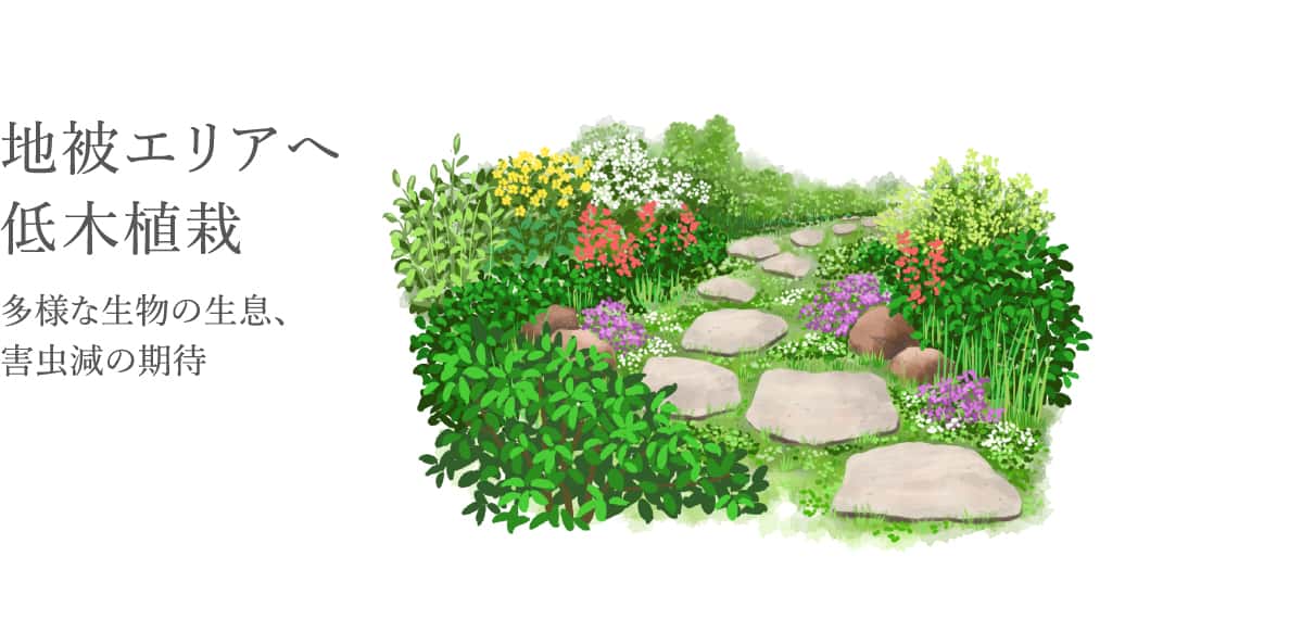 地被エリアへの低木植栽