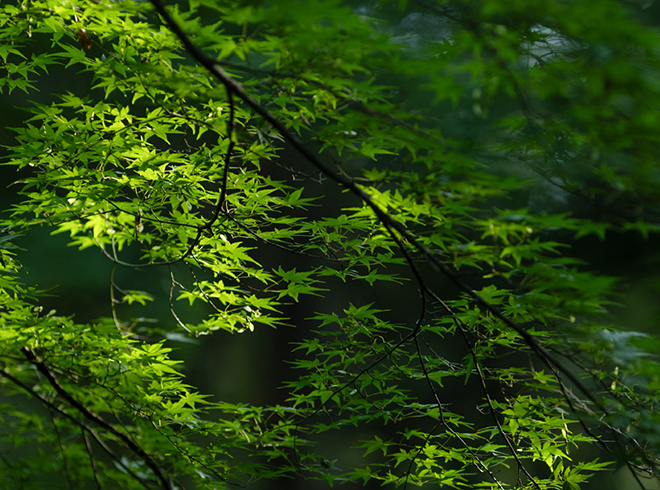 有栖川宮記念公園