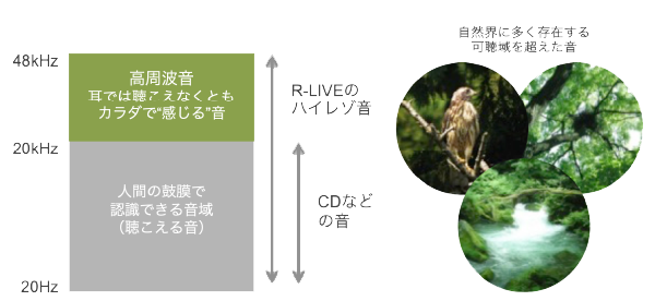 R-LIVEハイレゾ音