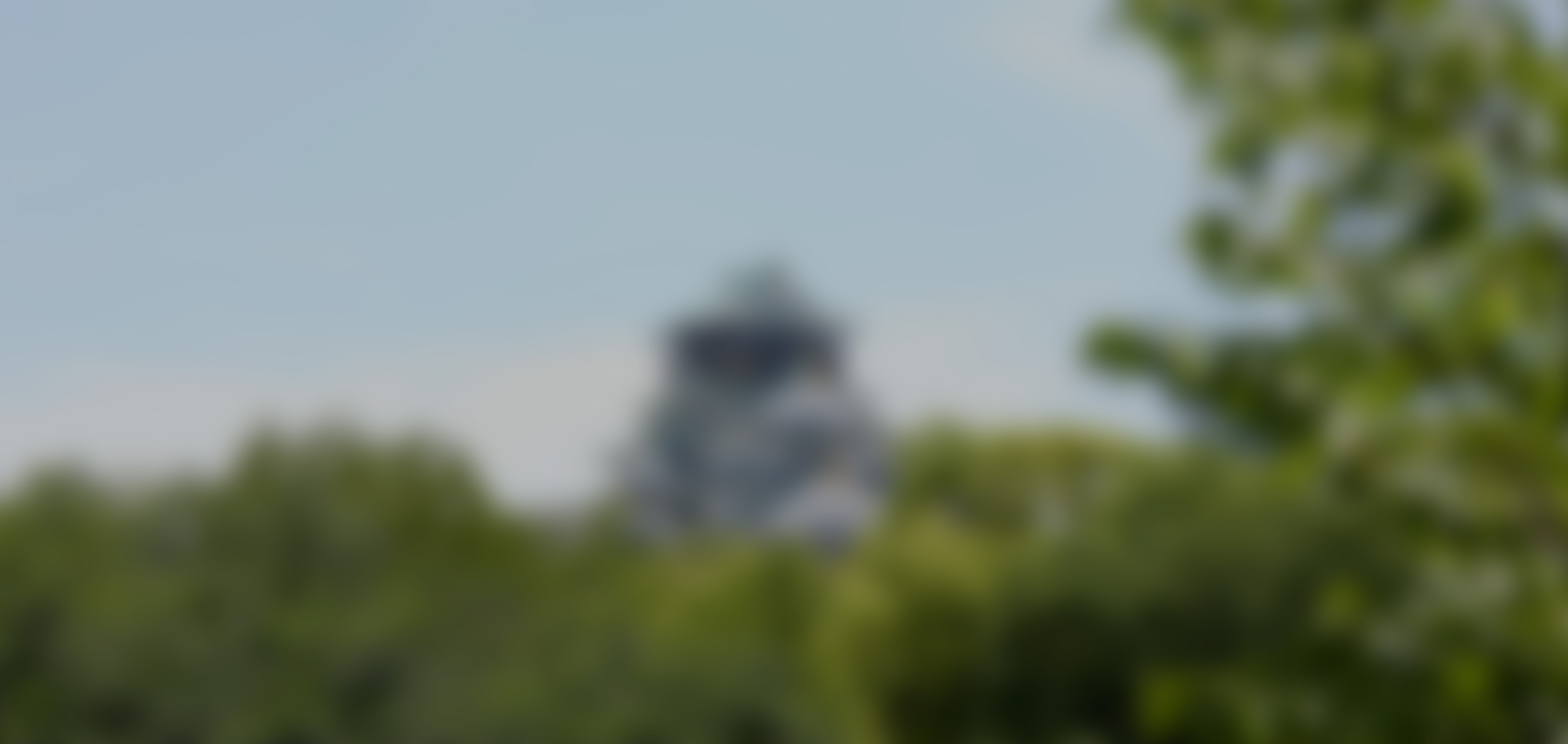 image photo