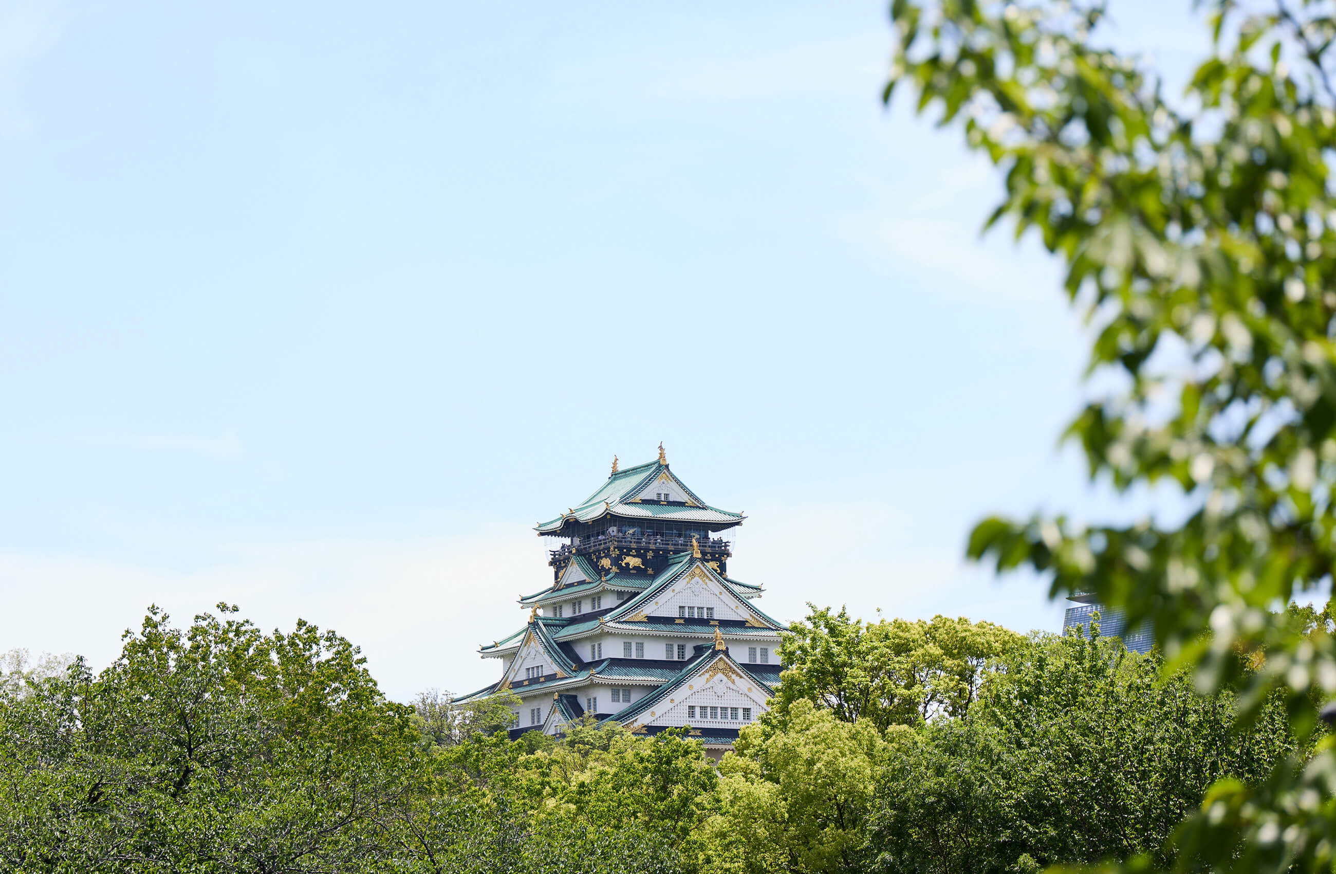 大阪城公園（徒歩6分／約460m）