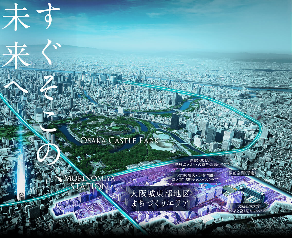 航空写真