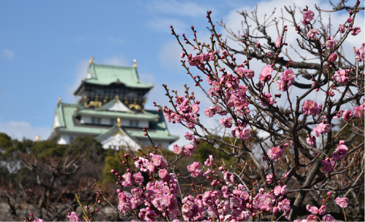 大阪城・梅林
