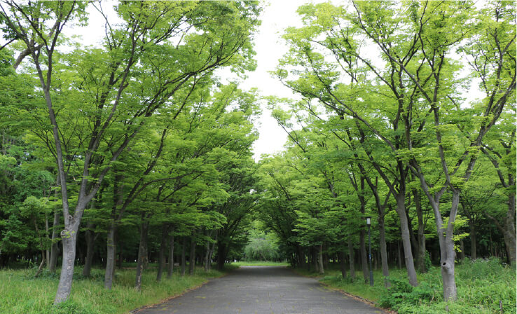 大阪城・市民の森