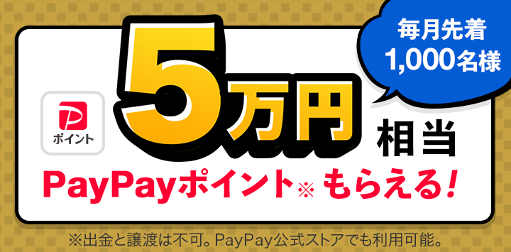 PayPayポイント