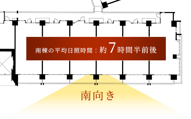 南棟「サウスヴィラ」南向きの日照時間