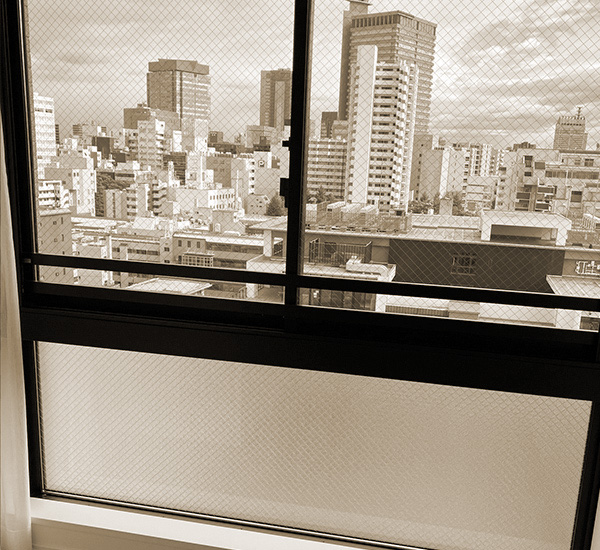 image photo