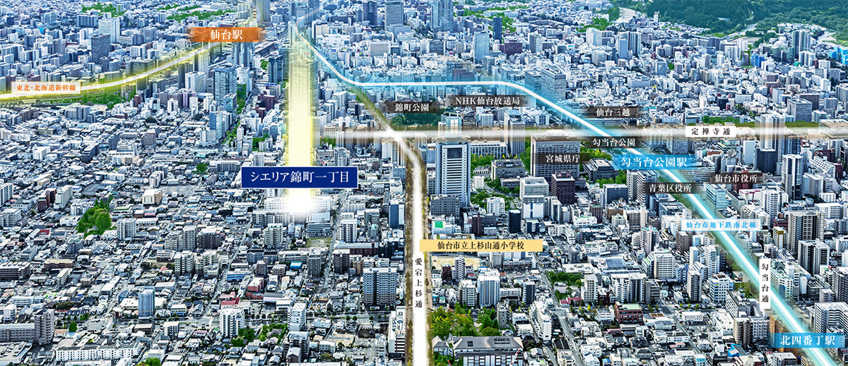 閑静な邸宅街（航空写真）
