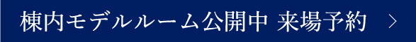 棟内モデルルーム公開中 来場予約