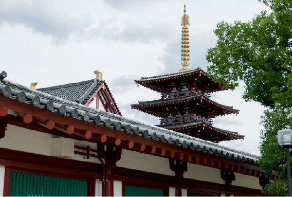 四天王寺 (徒歩0分/約000m)