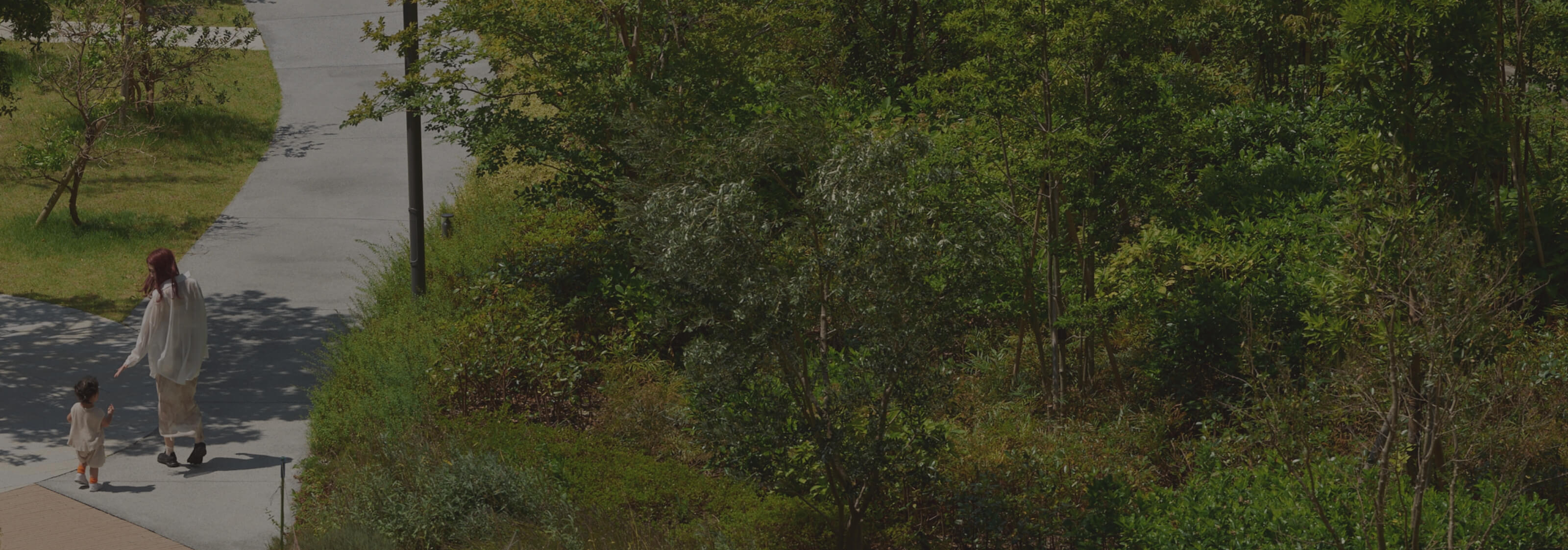image photo