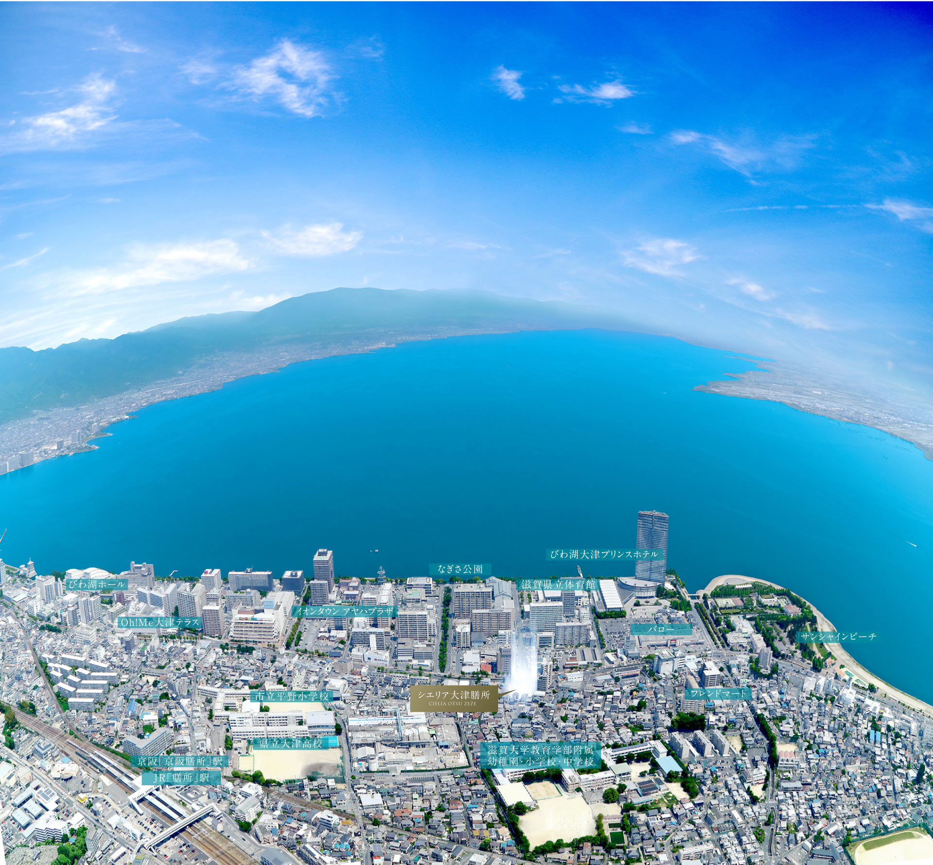 空撮写真
