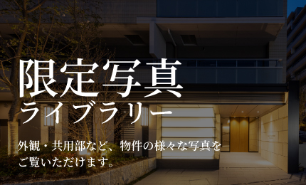 スペシャルコンテンツ